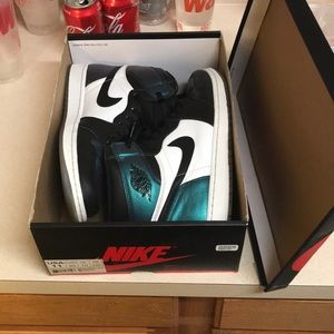 Jordan 1 all star (chameleon)